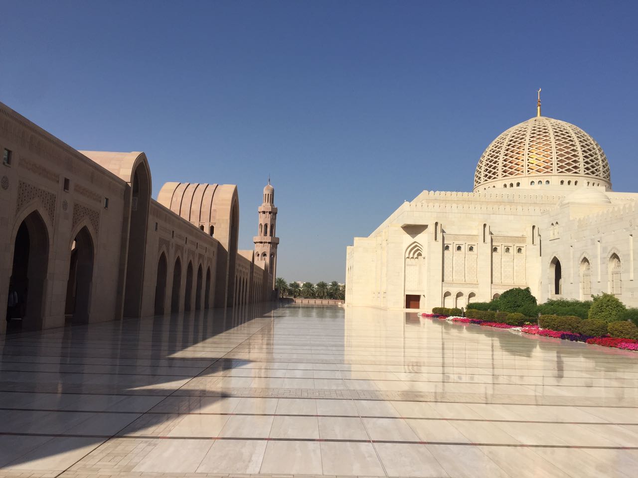 C:\Users\Windows 7\Desktop\muscat\IMG-20170213-WA0263.jpg