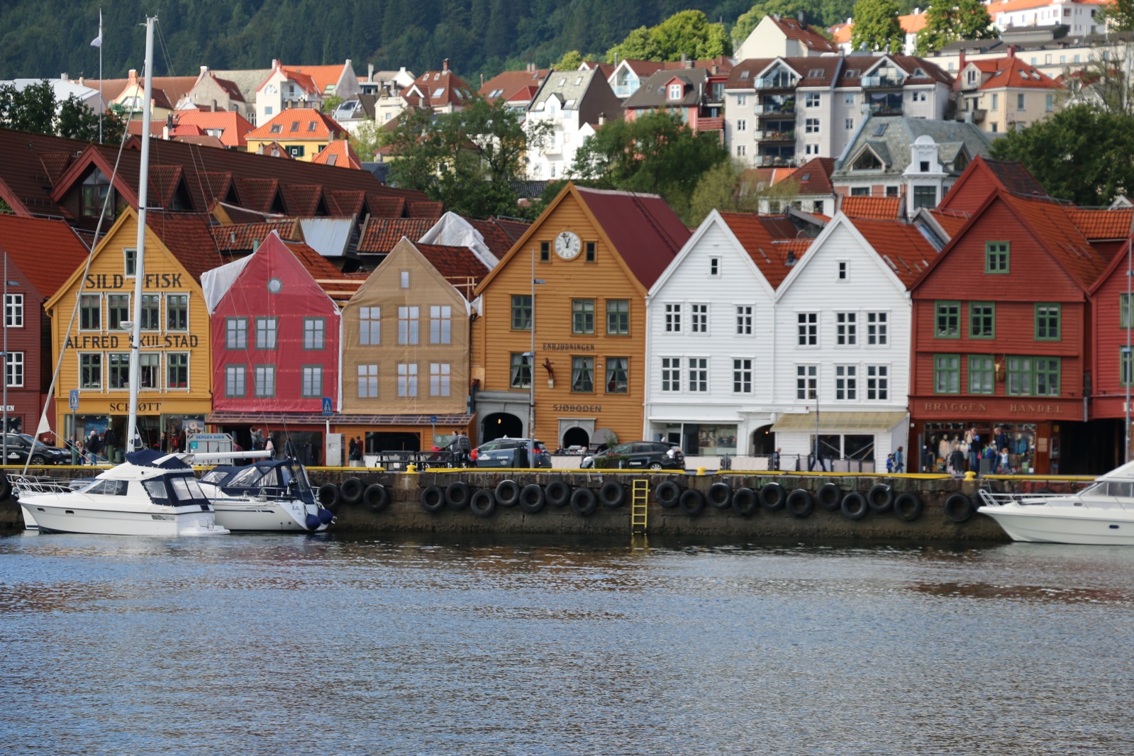 D:\2016-04-24-Ayla\album-2016\2016-07-01-iskandinavya\2016-07-04-bergen\IMG_5286.JPG
